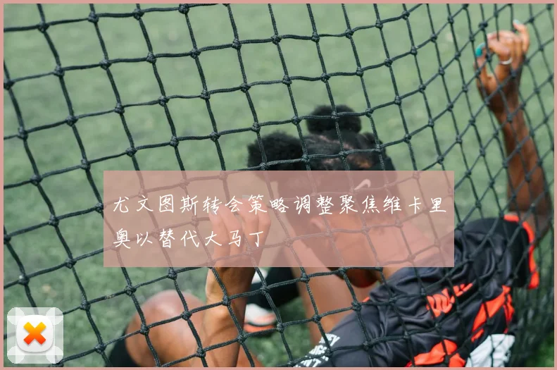 尤文图斯转会策略调整聚焦维卡里奥以替代大马丁