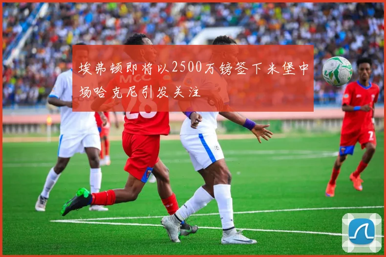 埃弗顿即将以2500万镑签下米堡中场哈克尼引发关注